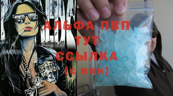 стаф Тобольск