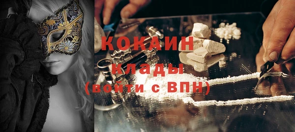 таблы Гусев