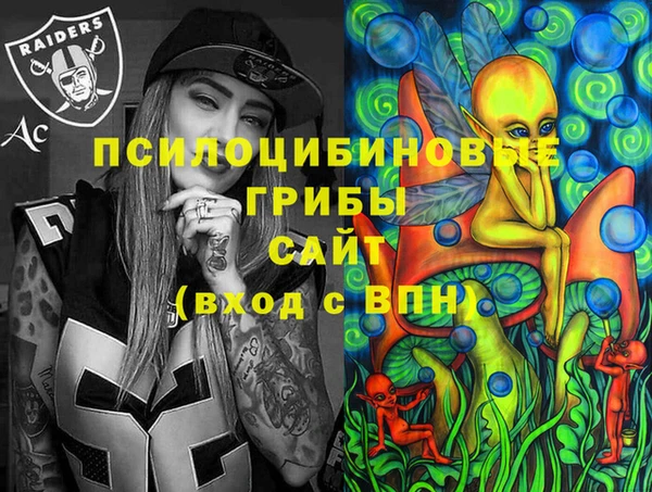 мет Тихвин
