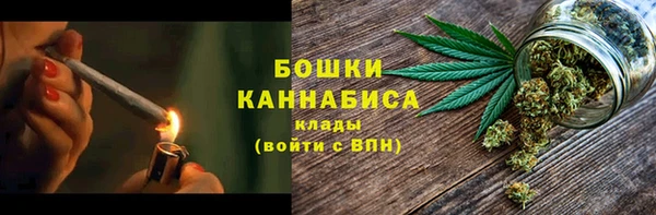 spice Гусиноозёрск