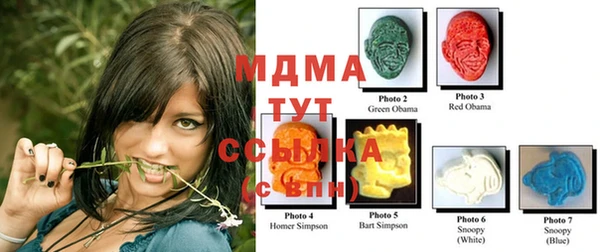 apvp Гусь-Хрустальный