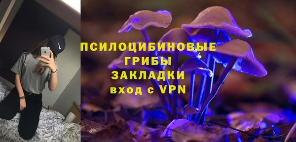 таблы Гусев