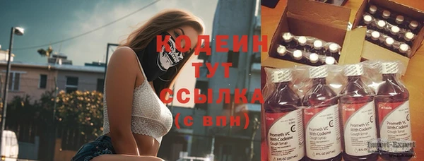 spice Гусиноозёрск