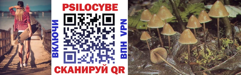 Псилоцибиновые грибы MAGIC MUSHROOMS  Купить где  Нурлат 